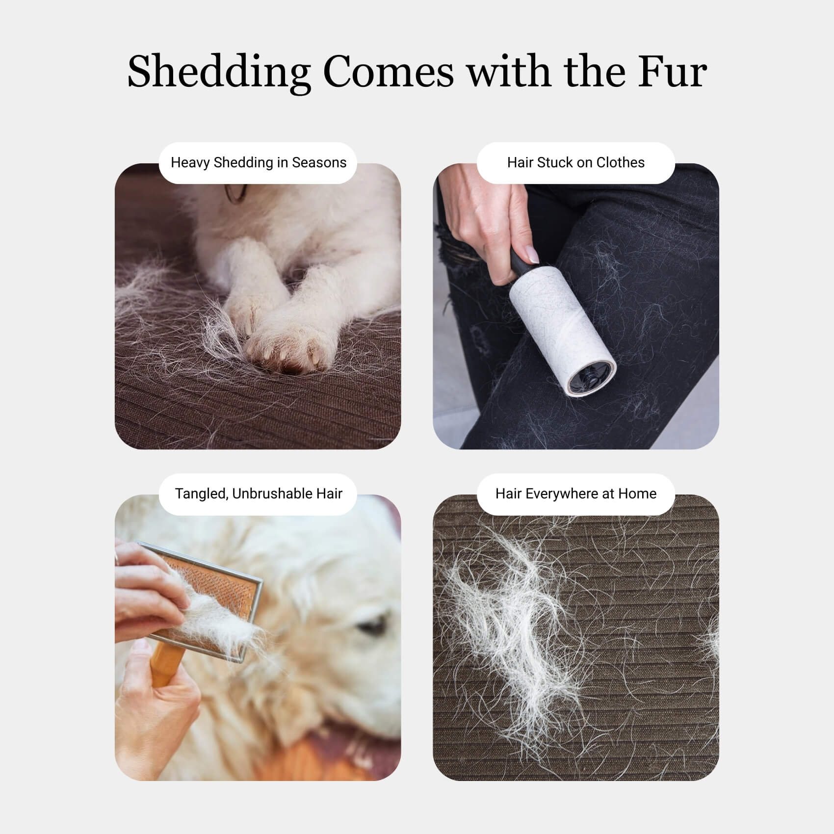 Delta Paw Pet Brush Vacuum